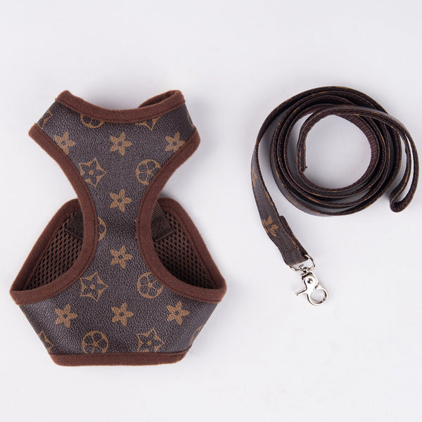 Chewy V Harness & Leash