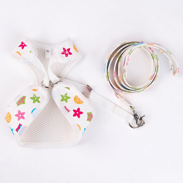 Chewy V Harness & Leash