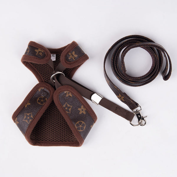 Chewy V Harness & Leash