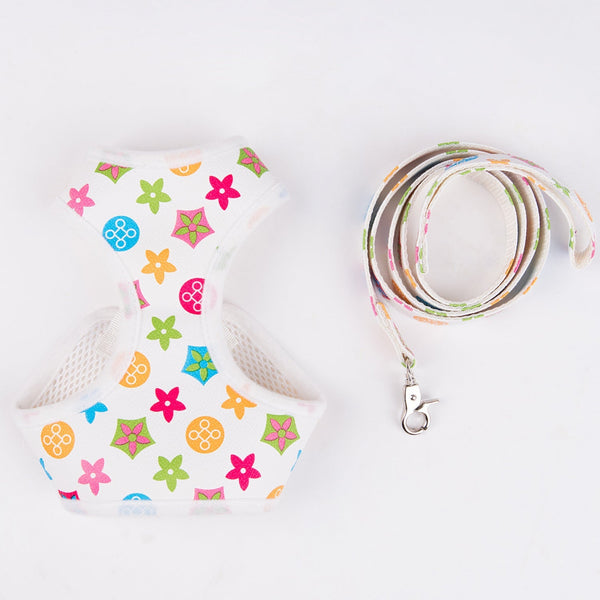 Chewy V Harness & Leash