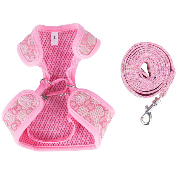 Pucci Harness & Leash