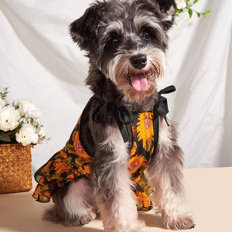 Floral Dog Dress