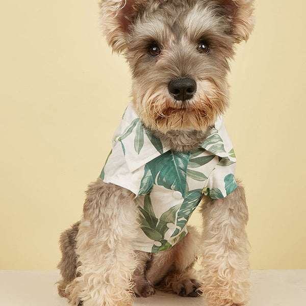 Leaf Print Pet Shirt