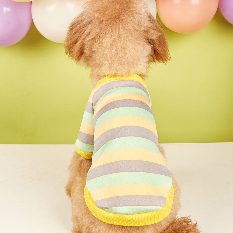 Striped Pet Hoodie