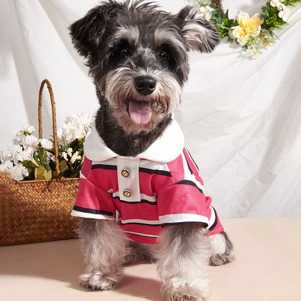Striped Dog Shirt - Pink