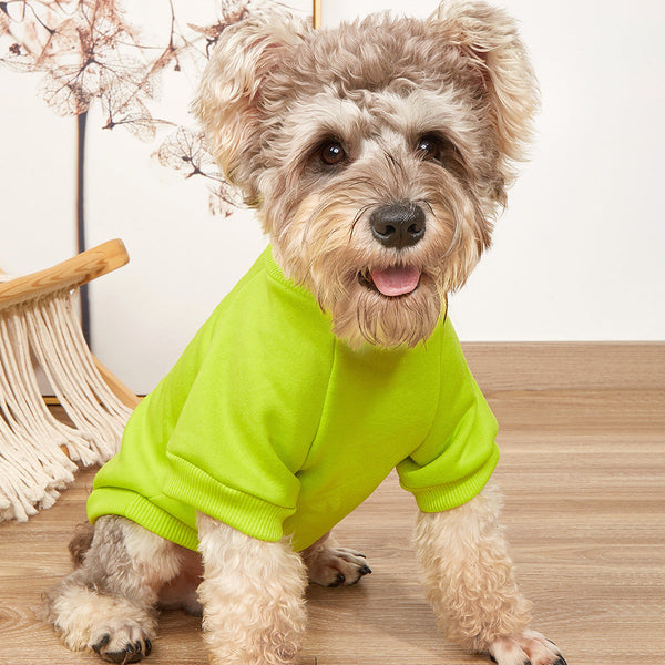Green Dog Sweater