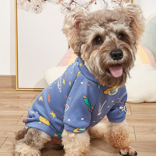 Cartoon Graphic Pet Sweatshirt