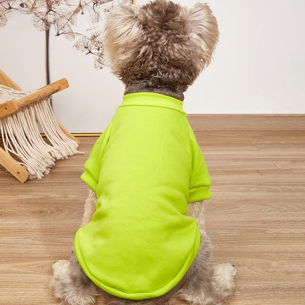 Green Dog Sweater