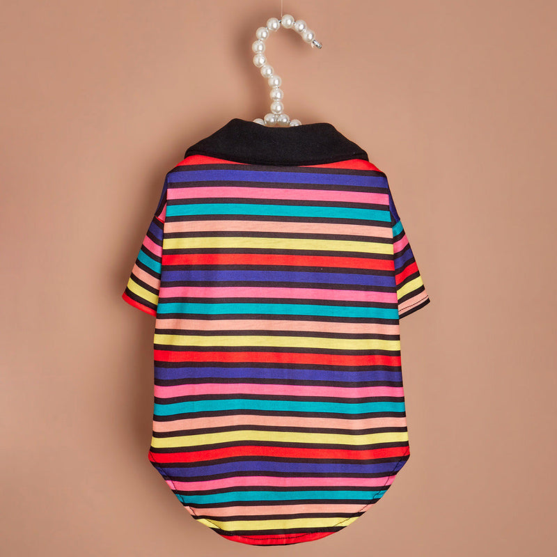 Striped Dog Shirt - Colorful