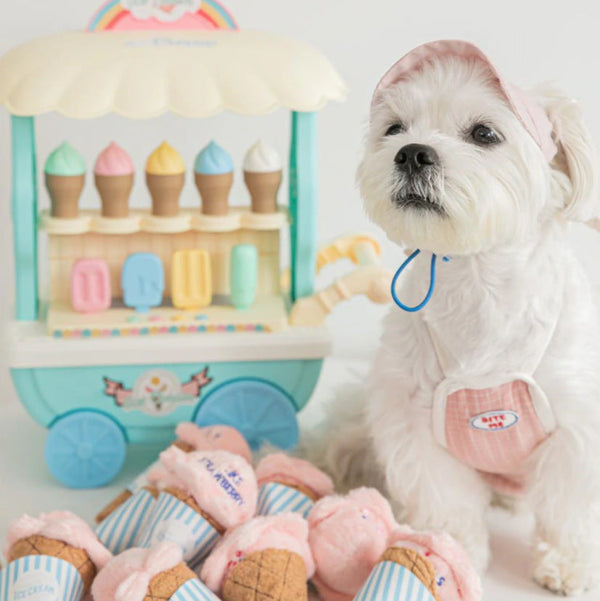 Ice Cream Toy