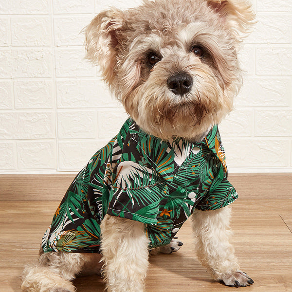 Palm Leaf Print Dog Shirt