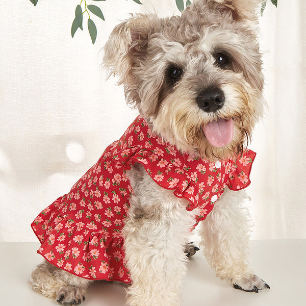 Floral Print Dog Shirt - Red
