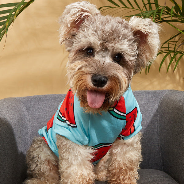 Coat Middle Sleeve Watermelon