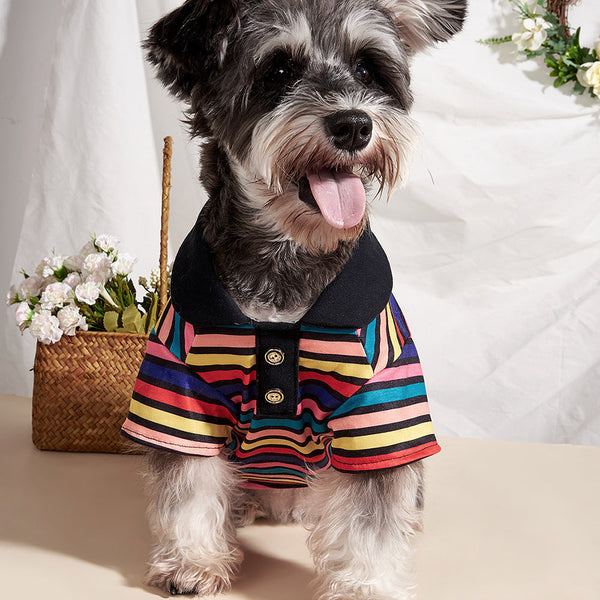 Striped Dog Shirt - Colorful